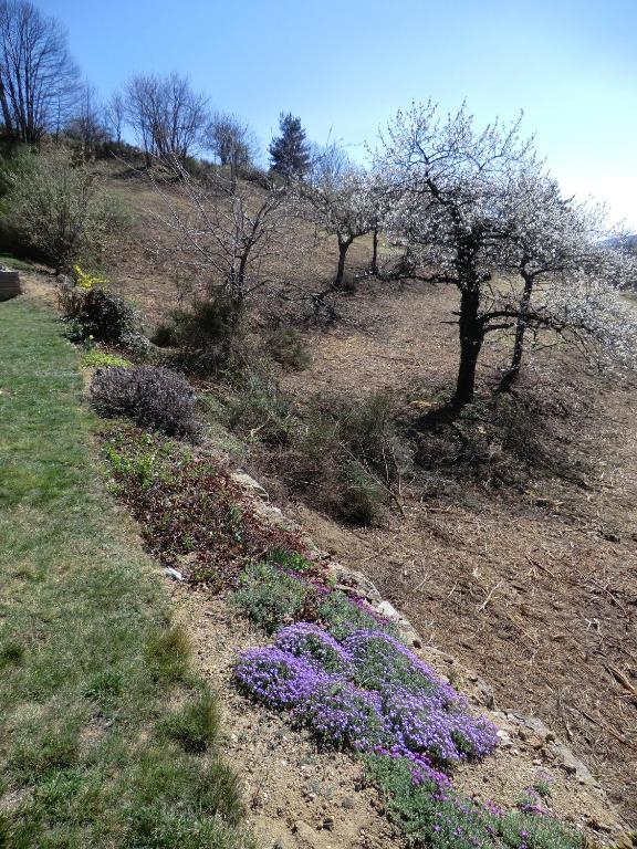 La Bastide De Fontaille Bed & Breakfast Saint Felicien Bagian luar foto