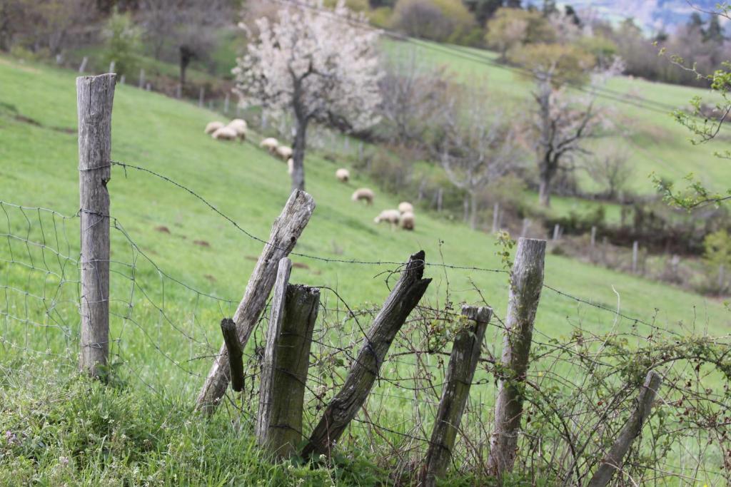 La Bastide De Fontaille Bed & Breakfast Saint Felicien Bagian luar foto
